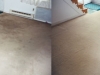 carpet1 carpet1